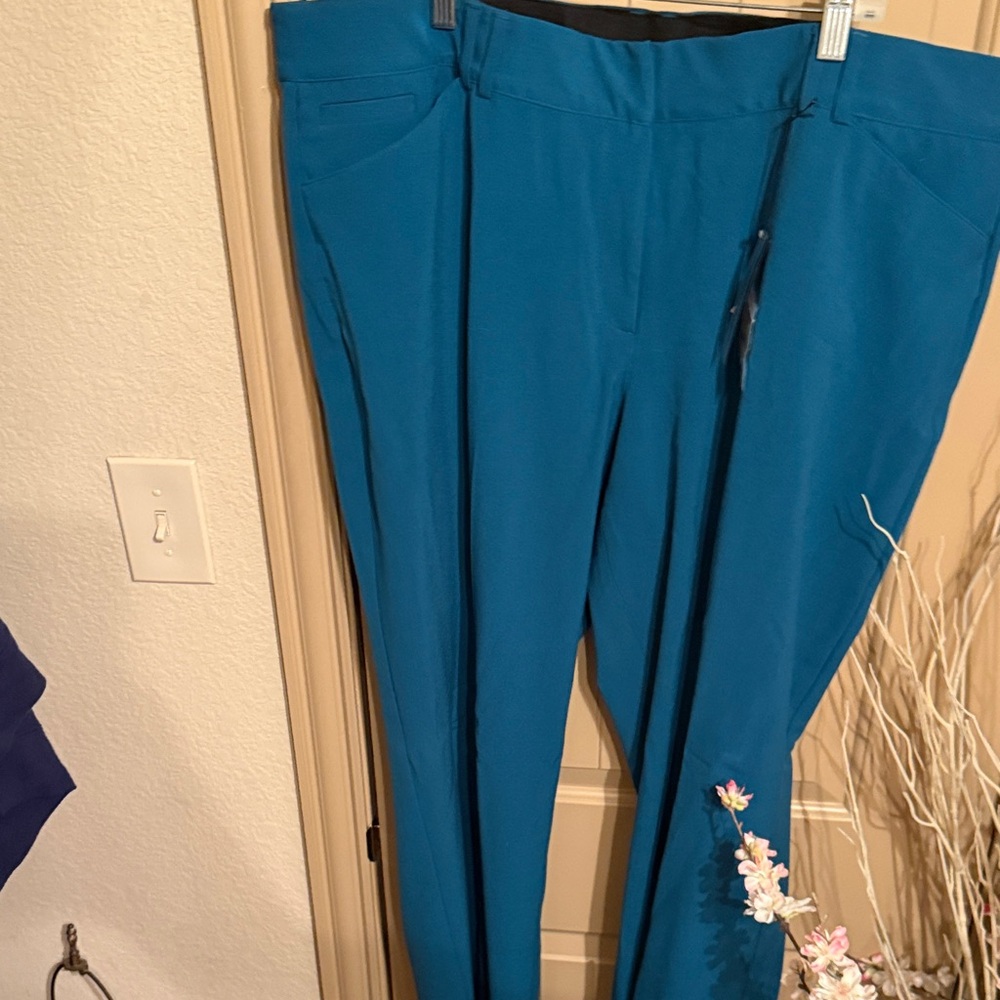 Lane Bryant Vibrant Blue Women's Trousers